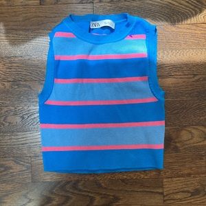 Zara Blue & Pink Striped Knit Crop Top